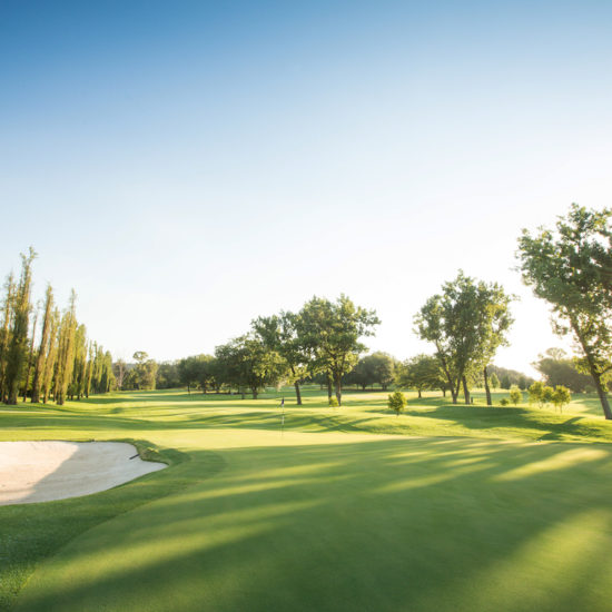 Royal-Johanneburg-and-Kensington-East-golf-course-johannesburg-luxury-tour-south-africa
