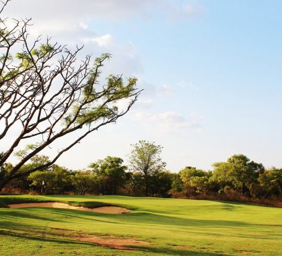 Elements-golf-course-south-africa-wild-greens-golf-tours