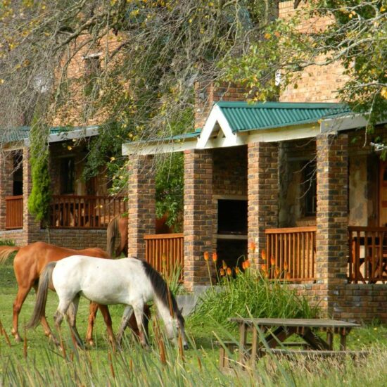 Dunkeld-Country-and-Equestrian-Estate-golf-course-south-africa-Luxury-golf-tours-wild-greens