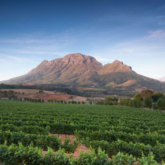 golf-course-south-africa-Luxury-golf-tours
